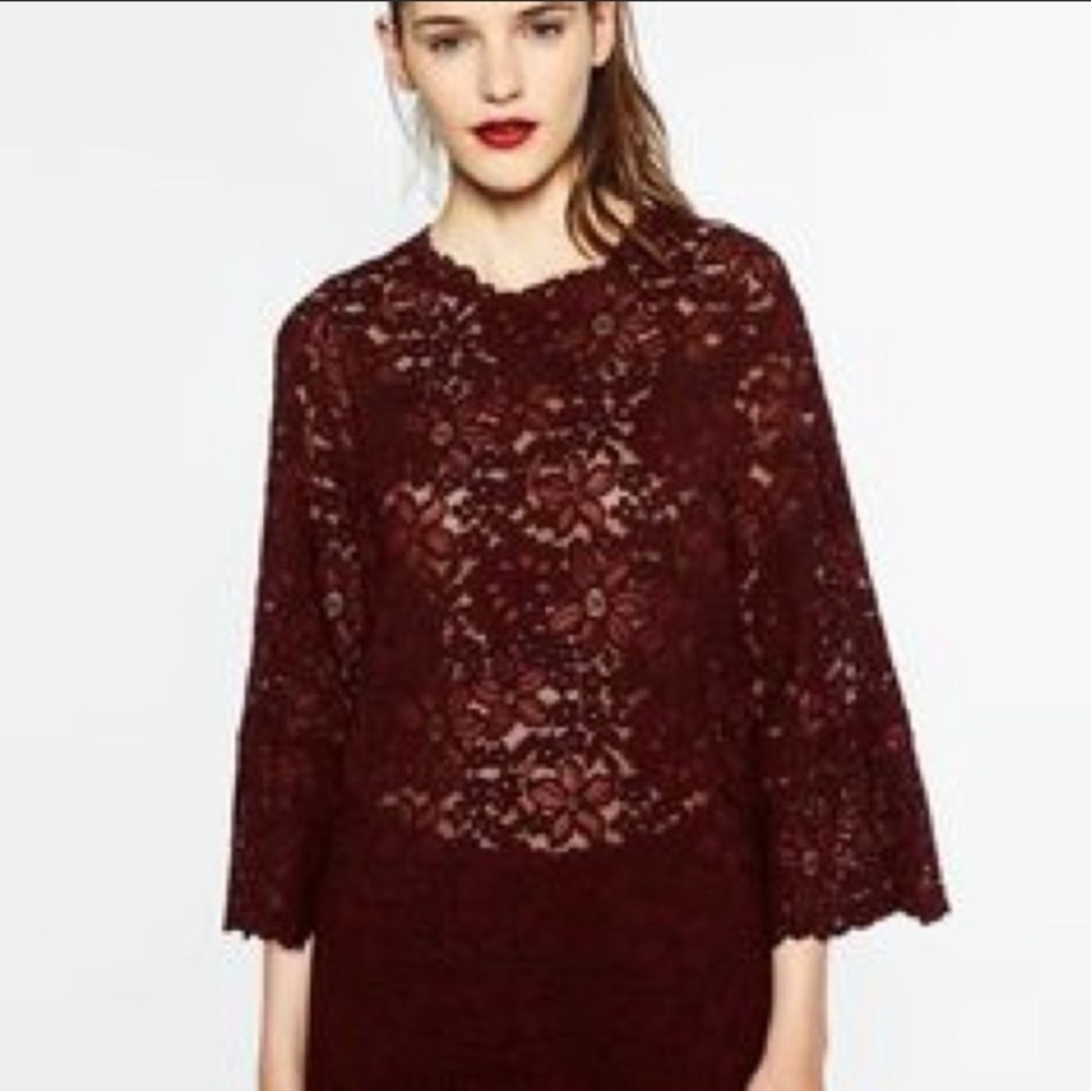 Zara NWT lace top burgundy 3/4 sleeve scoop neck size XS